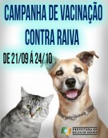 Vacinação antirrábica canina e felina começa no próximo dia 21 em Rolim de Moura