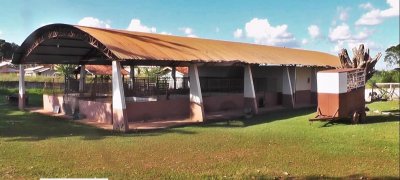 Rolim de Moura Centro de Zoonoses deve retornar com a captura de animais nas ruas em breve