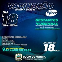 Gestantes e puérperas maiores de 18 anos serão vacinadas contra covid-19 na próxima...