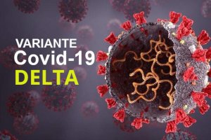 Rondônia registra 42 novos casos da variante Delta do coronavírus em Rolim de Moura e...