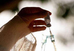 Vacina contra Covid-19: Ministério da Saúde reduz intervalo entre doses e libera...