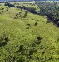 VENDE-SE - PROPRIEDADE RURAL EM ROLIM DE MOURA - 10 ALQUEIRES.