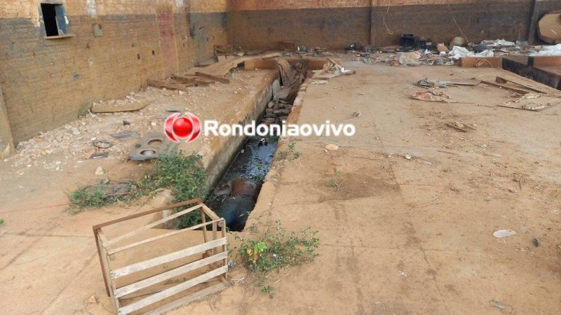 Cadáver em decomposição é encontrado em galpão abandonado em Porto Velho; veja o vídeo