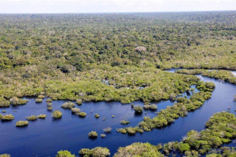 Fundo Amazônia amplia restauração florestal em Rondônia Fundo Amazônia amplia restauração florestal em Rondônia