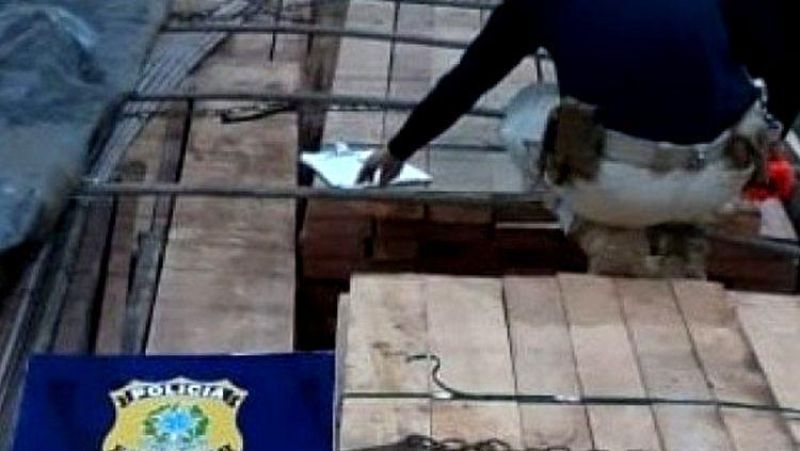 Polícia Rodoviária Federal apreende carga de madeira ilegal na BR-364 Polícia Rodoviária Federal apreende carga de madeira ilegal na BR-364