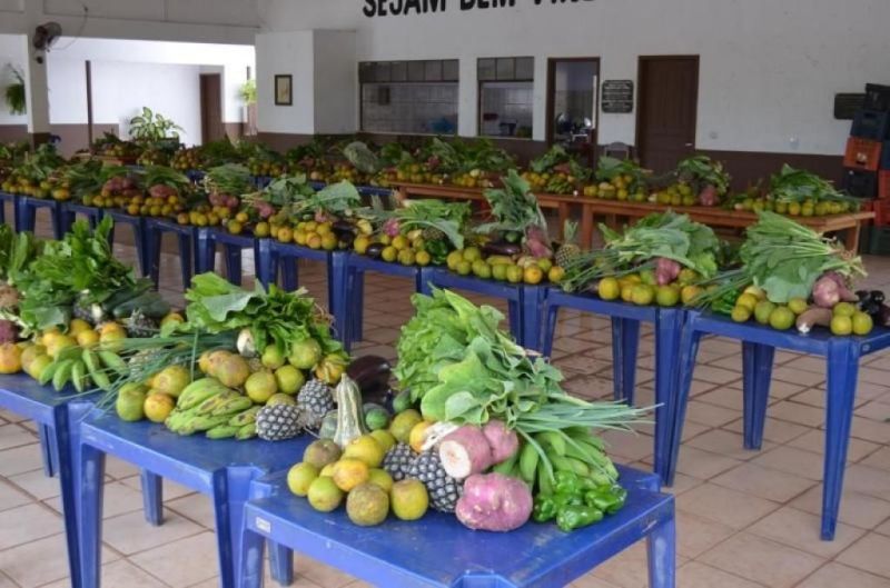 Prefeitura de Rolim de Moura distribuiu mais de 50 toneladas de alimentos para famílias Prefeitura de Rolim de Moura distribuiu mais de 50 toneladas de alimentos para famílias