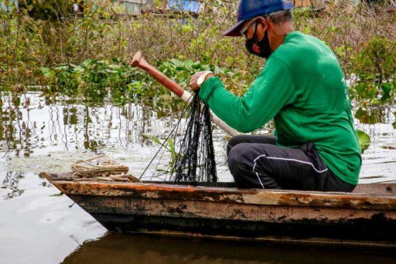 Sedam suspende até março de 2022 captura e transporte de oito espécies de peixes na maioria dos rios de Rondônia Sedam suspende até março de 2022 captura e transporte de oito espécies de peixes na maioria dos rios de Rondônia