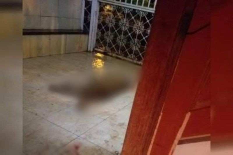 Cachorro é morto a pauladas por ladrão que tentava furtar residência Cachorro é morto a pauladas por ladrão que tentava furtar residência