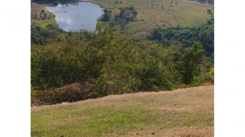 Carro cai de penhasco após família estacionar para ver paisagem em Ouro Preto Carro cai de penhasco após família estacionar para ver paisagem em Ouro Preto
