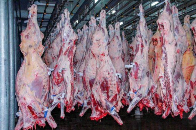 Referência em defesa sanitária agropecuária, Rondônia é destaque também no cenário econômico, com aumento de 17,5% nas exportações de carne bovina Referência em defesa sanitária agropecuária, Rondônia é destaque também no cenário econômico, com aumento de 17,5% nas exportações de carne bovina