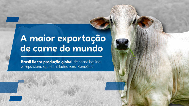 Brasil lidera produção global de carne bovina e impulsiona oportunidades para Rondônia Brasil lidera produção global de carne bovina e impulsiona oportunidades para Rondônia