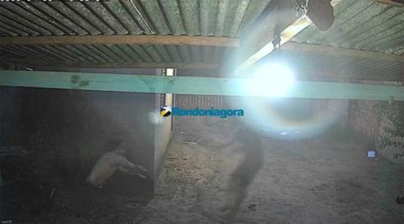 PORTO VELHO: Irmão tenta matar o outro com golpes de enxada PORTO VELHO: Irmão tenta matar o outro com golpes de enxada