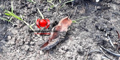 Funcionários do Dnit encontram ossada humana na BR-364