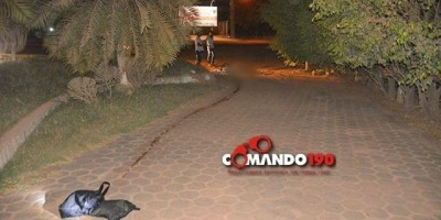 Andarilho morre atropelado em saída de motel, em Ji-Paraná