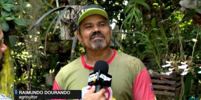 Rolim de Moura: Sitiante cultiva centenas de Orquídeas