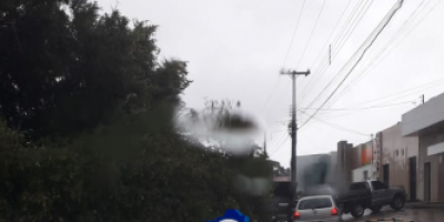 Árvore cai em cima de veículo durante chuva, em Ji-Paraná