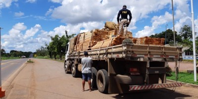 Em Pimenta Bueno, PRF apreende 14,49 m³ de madeira