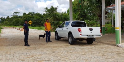 Rondônia já é área livre de aftosa