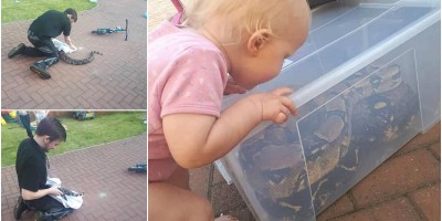 Pai encontra filha de 1 ano brincando ao lado de jiboia