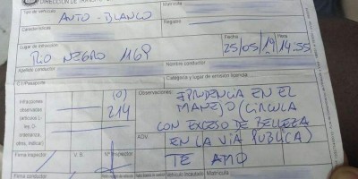 Mulher leva multa 'por dirigir com excesso de beleza'