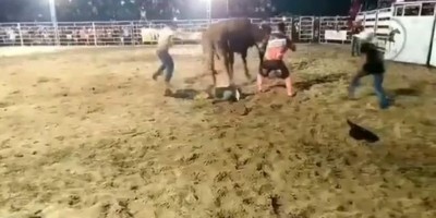 Peão cai de touro durante rodeio e é pisoteado pelo animal 