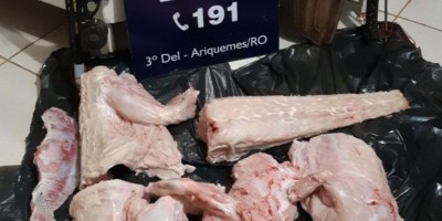 Crime Ambiental: PRF realiza apreensões em RO  