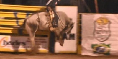 ADEUS AS ARENAS: Peão é morto pisoteado por touro; veja vídeo