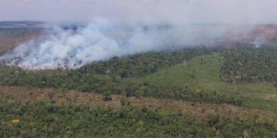 Fogo volta a atingir reserva ambiental em Nova União, RO