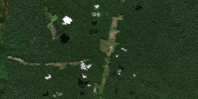 Mulher é condenada a pagar R$ 1,3 milhão por desmatar reserva florestal para criar...