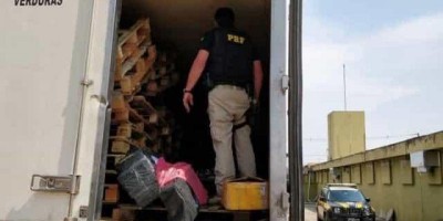 Motorista de caminhão é preso com 1 tonelada de maconha