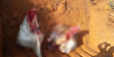 Nota da Polícia Militar sobre boatos em rede social