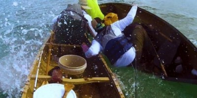 VÍDEO: Tubarão ataca barco após batalha intensa com pescador