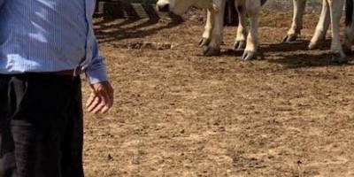 Fugitivos matam sem piedade produtor rural de 73 de idade
