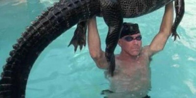 Homem retira no braço jacaré que invadiu piscina de casa