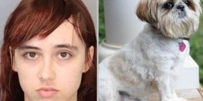 Jovem esquarteja cachorro da avó e guarda partes no armário e freezer