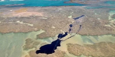 Quase 5 toneladas de óleo já foram retiradas do litoral brasileiro