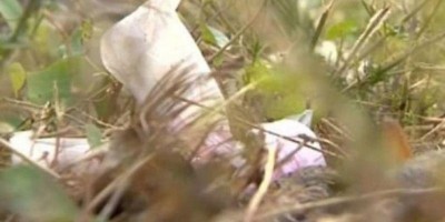 ABANDONADO: Bebê é devorado por cães em mata