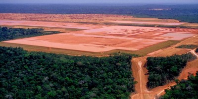 Desmatamento em unidades protegidas sobe 84%