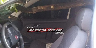 Galho de árvore atravessa para-brisa de carro em acidente na RO-010 em Nova Brasilândia