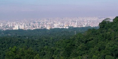 Avião cai na região da serra da Cantareira, em SP