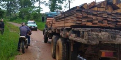 Polícia apreende duas cargas ilegais de madeira em Rondônia