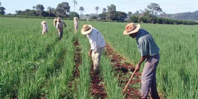 Produtores têm até segunda para aderir ao Refis Rural