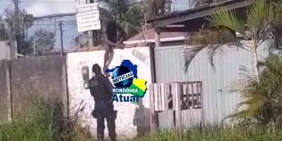 Policiais chegam a tempo e evitam furto em residência em Ji-Paraná; veja o vídeo