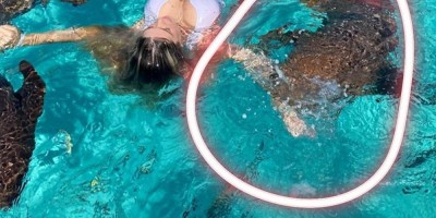 Digital influencer é mordida por tubarão nas Bahamas e posta foto do momento na internet