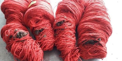 Idosa de 68 anos é presa ao tentar entrar em presídio com droga em rolos de barbante em...