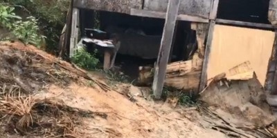 Corpo de homem em decomposição é encontrado em barraco em comunidade de Manaus
