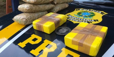 PRF apreende 8Kg de cocaína e 30Kg de peixe na BR-364 em Porto Velho