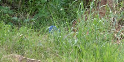 corpo de homem de 36 anos é encontrado na área rural de Vilhena com as mãos amarradas