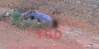 Corpo de jovem é encontrado perto de plantação de soja em Alto Paraíso, RO