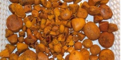 Rolim de Moura: Criminosos rendem vigia de frigorifico e arrombam cofre para roubarem...